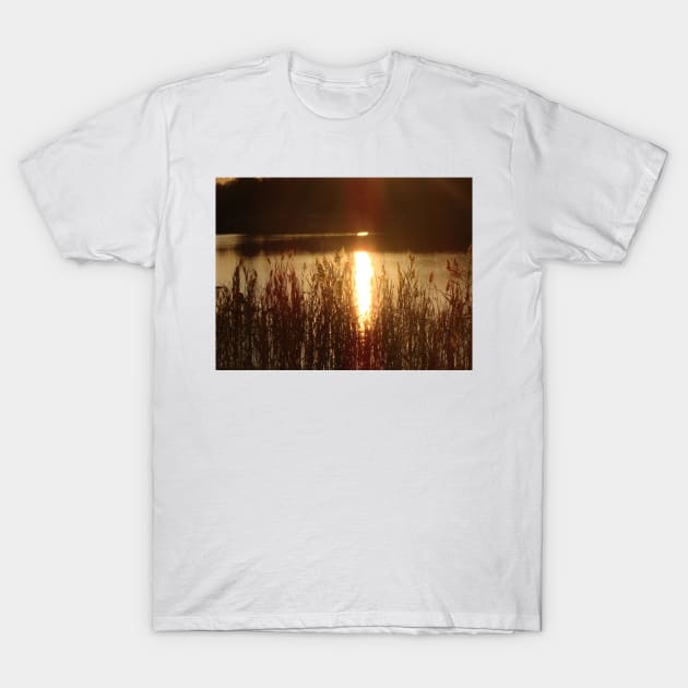 Golden Reflection T-Shirt by saradaboru